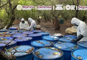 Decomiso histórico en Nayarit: aseguran 12.8 toneladas de metanfetamina en narcolaboratorio