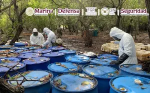 Decomiso histórico en Nayarit: aseguran 12.8 toneladas de metanfetamina en narcolaboratorio