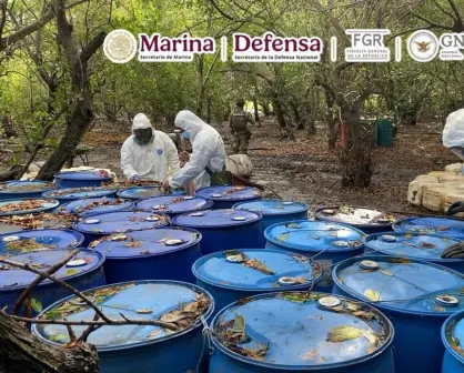 Decomiso histórico en Nayarit: aseguran 12.8 toneladas de metanfetamina en narcolaboratorio