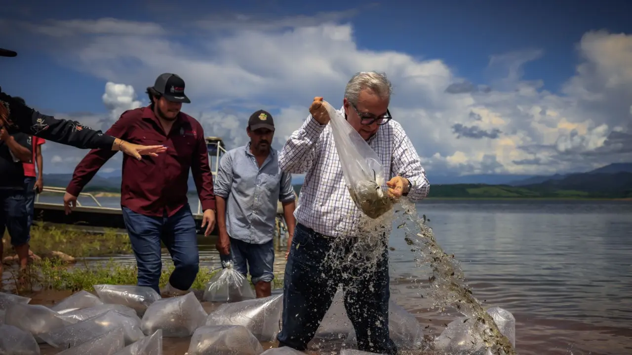 El programa beneficia a 600 pescadores. Foto: Gob. de Sinaloa