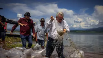 Gobierno de Sinaloa inicia siembra de alevines en la presa Sanalona y 13 embalses más de Culiacán