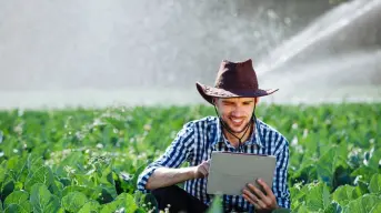 Aguascalientes apoya exportación de productos agroalimentarios: así te puedes registrar