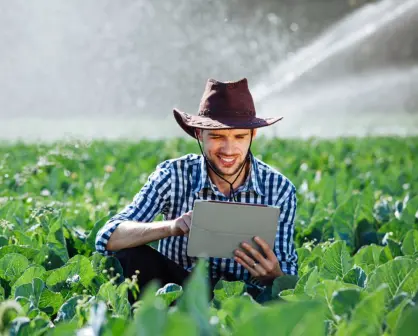 Aguascalientes apoya exportación de productos agroalimentarios: así te puedes registrar