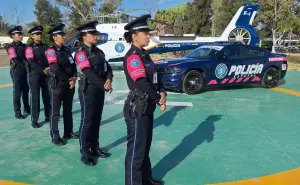 ¿En qué casos llamar a la Policía Rosa de Aguascalientes?