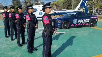 ¿En qué casos llamar a la Policía Rosa de Aguascalientes?