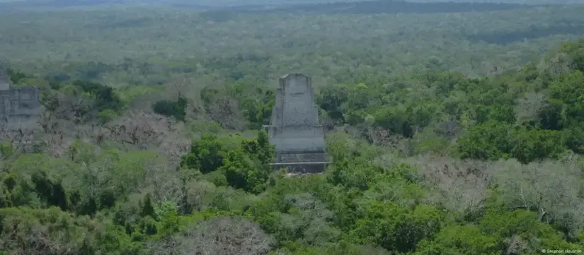 México, Guatemala y Belice crean el Corredor Biocultural de la Gran Selva Maya El nuevo corredor abarcará 0,6 millones de hectáreas en Belice, 2,7 millones en Guatemala y 2,4 millones en México. Foto: DW