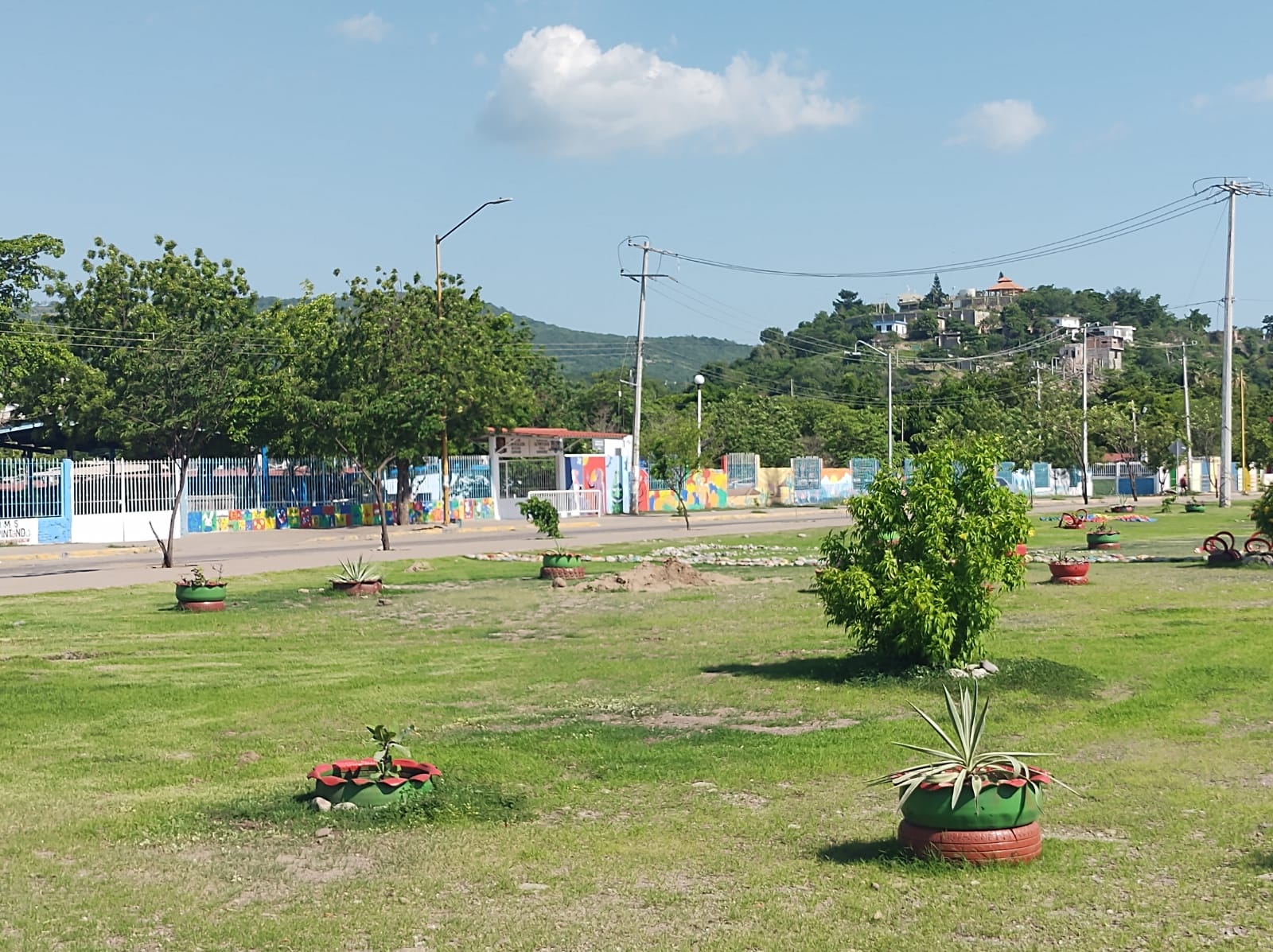Imagen 5