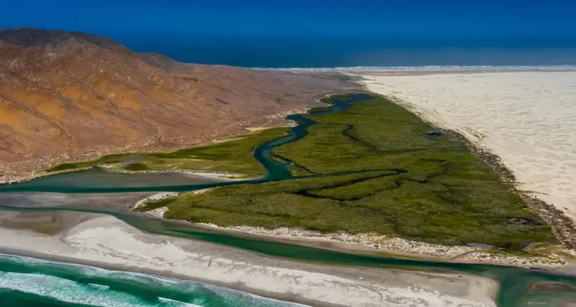 Conoce todos los detalles acerca de Bahía de Magdalena en Baja California Sur. Foto: Cortesía. 