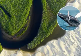 Bahía de Magdalena, en Baja California Sur; ¿qué hacer y cuál es la mejor época para acudir?