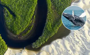 Bahía de Magdalena, en Baja California Sur; ¿qué hacer y cuál es la mejor época para acudir?