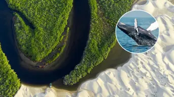Bahía de Magdalena, en Baja California Sur; ¿qué hacer y cuál es la mejor época para acudir?