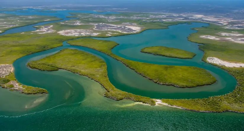 Estas son algunas de las actividades que puedes hacer en Bahía Magdalena. Foto: Cortesía. 