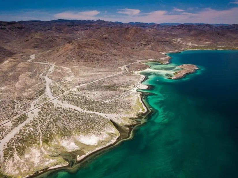 Visitar Bahía de Magdalena te garantizará una gran aventura. Foto: Harroldphoto.