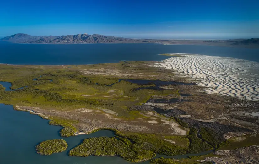 Febrero y marzo serían los mejores meses para visitar Bahía de Magdalena. Foto: Cortesía. 