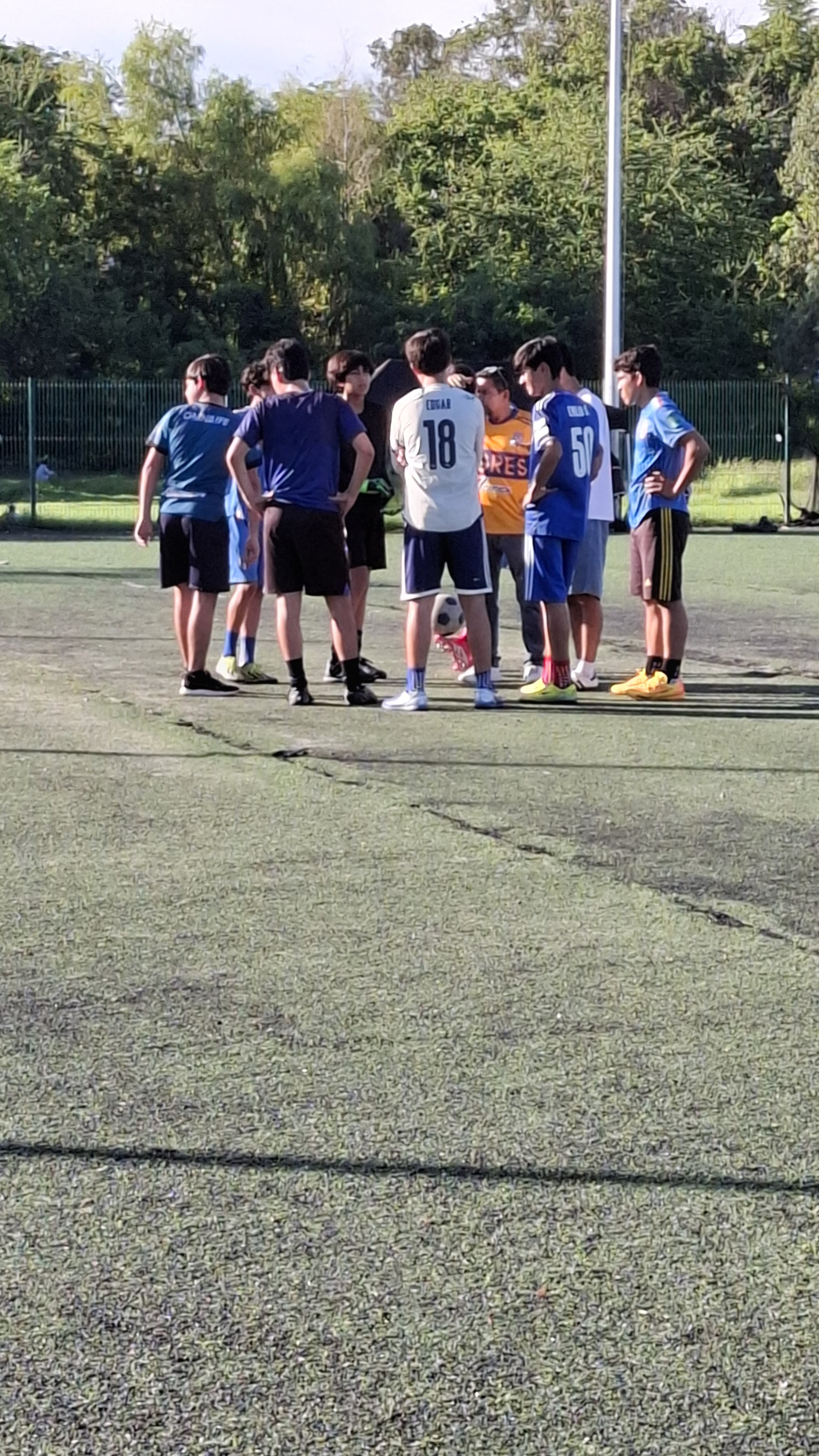 Imagen 3