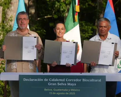PRIMERA REUNIÓN DE LOS PRESIDENTES DE BELICE, GUATEMALA Y MÉXICO