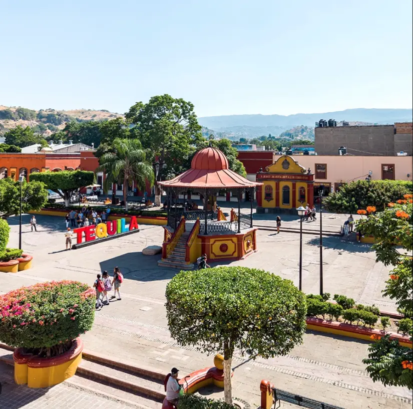Tequila en Jalisco. Foto: cortesía Tequila en Jalisco. Foto: Cortesía.