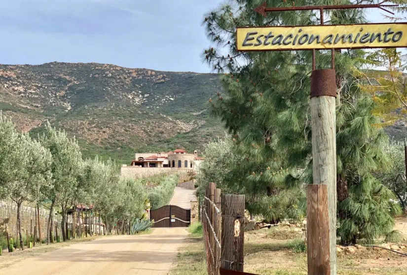Conoce todos los detalles acerca de Valle de Guadalupe. Foto: Expedia. Conoce todos los detalles acerca de Valle de Guadalupe. Foto: Expedia.
