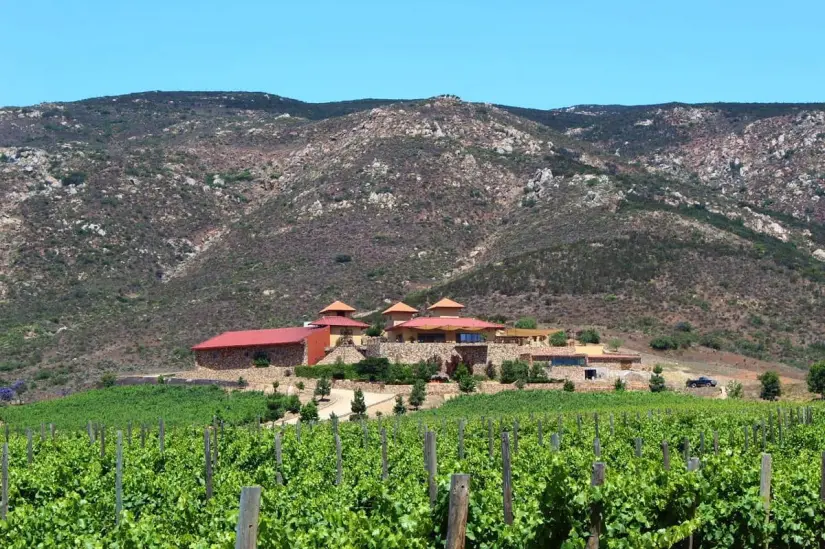 El Valle de Guadalupe es uno de los mejores destinos de Baja California. Foto: Tripadvisor. El Valle de Guadalupe es uno de los mejores destinos de Baja California. Foto: Tripadvisor.
