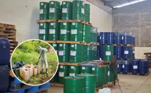 Culiacán: aseguran bodegas con metanfetamina y sustancias químicas por más de 7 mil millones de pesos
