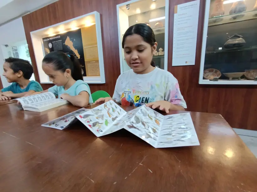 Conciencia ambiental y diversión: niñas y niños aprenden sobre aves de Sinaloa. Foto: IMCC