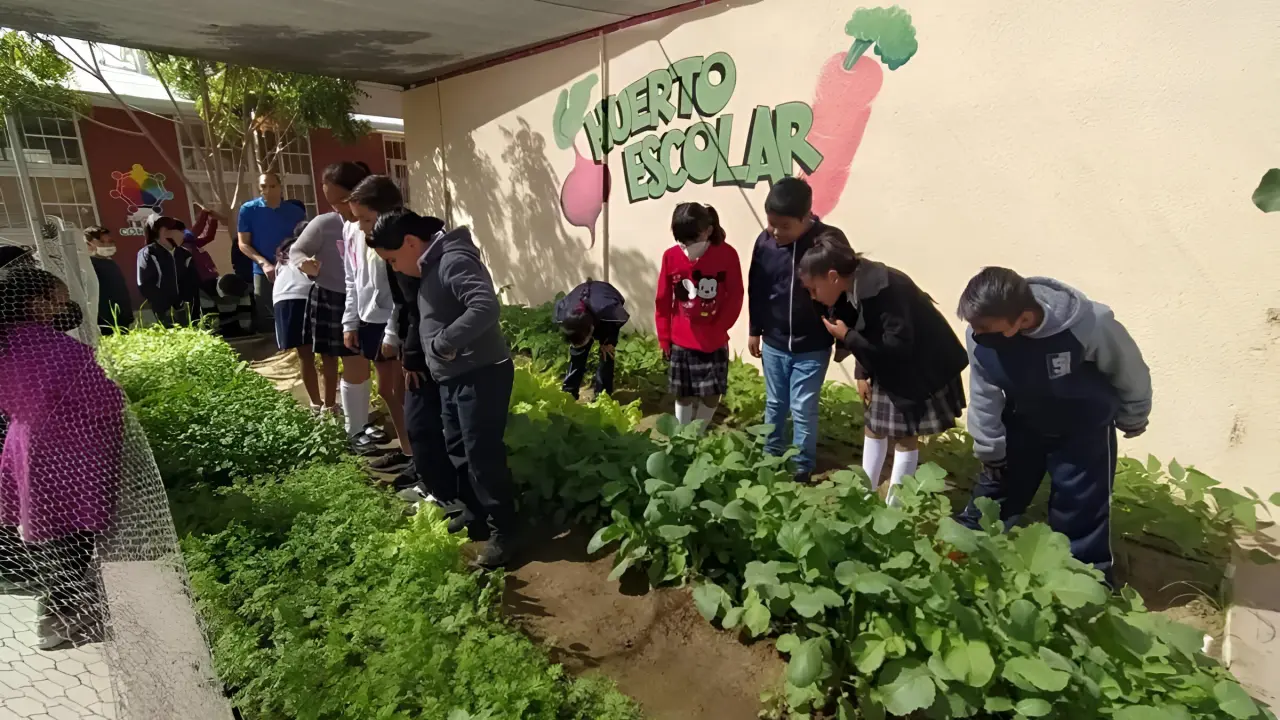 Estas son las escuelas seleccionadas en Baja California Sur para el Programa de Huertos Escolares. Foto: Cortesía.