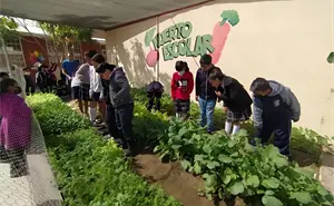Escuelas seleccionadas para el Programa de Huertos Escolares en Baja California Sur
