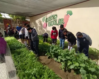 Escuelas seleccionadas para el Programa de Huertos Escolares en Baja California Sur
