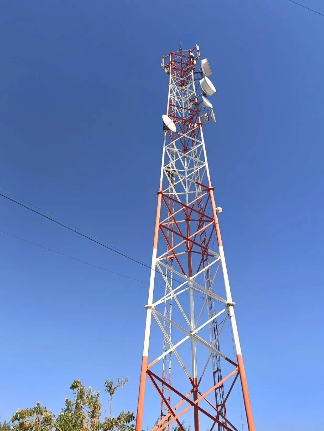 Internet gratuito en Guanajuato en más de mil puntos públicos. Foto; Coetesla