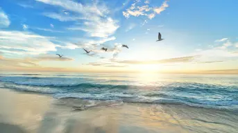 Vivir cerca del mar nos da más años de vida