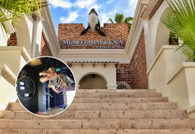 La Paz y su tesoro marino: conoce el Museo de la Ballena y por qué es un referente nacional 
