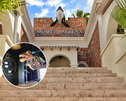 La Paz y su tesoro marino: conoce el Museo de la Ballena y por qué es un referente nacional 