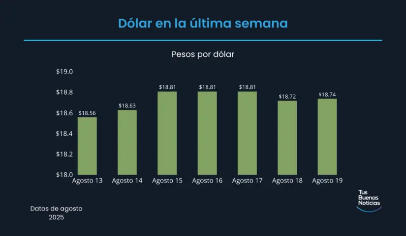 Precio del dólar hoy 19 de agosto de 2025 Precio del dólar en la última semana de acuerdo al DOF. Foto: TBN