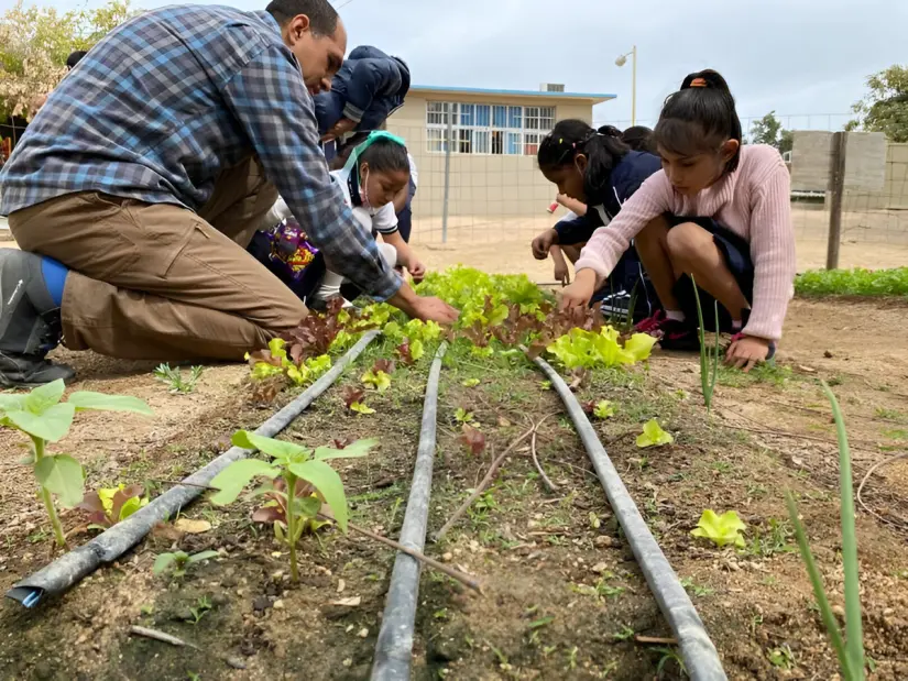 Estas son las escuelas primarias que serán parte del Programa de Huertos Escolares 2025–2026. Foto: Cortesía. 