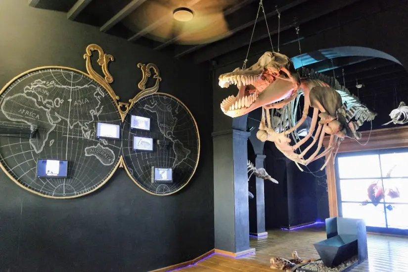 En sus salas podrás aprender y encontrar acerca de las diversas especies que habitan en este museo. Foto: Cortesía.