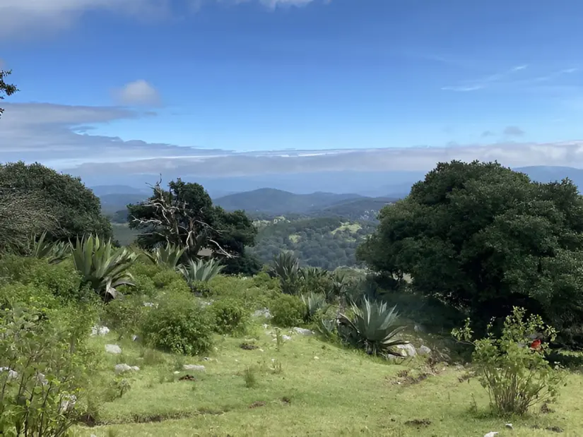 Conoce todos los detalles acerca de Sierra de Álvarez, en San Luis Potosí. Foto: Wikiloc.