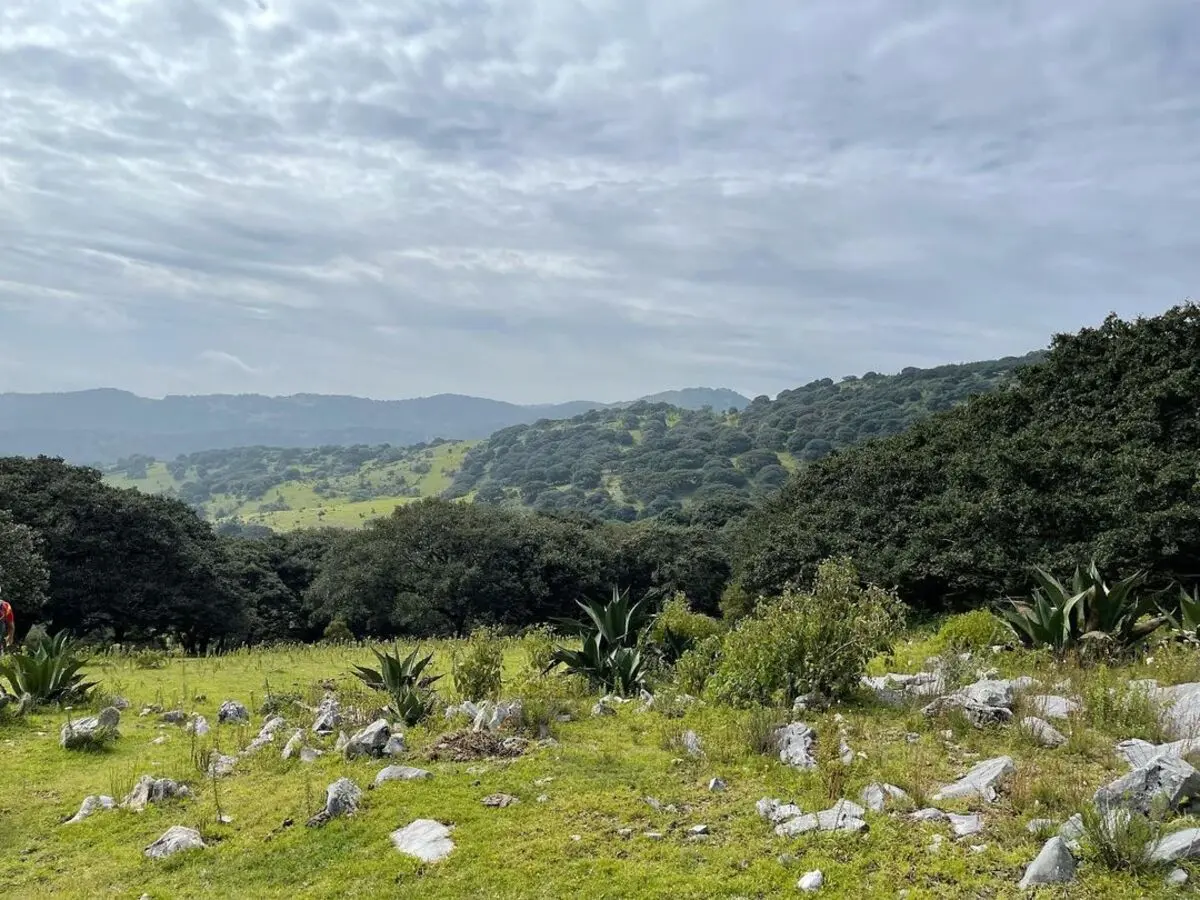 Vive una experiencia de aventura en Sierra de Álvarez, en San Luis Potosí. Foto: Cortesía.