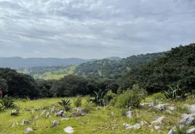 Sierra de Álvarez, una joya natural de San Luis Potosí