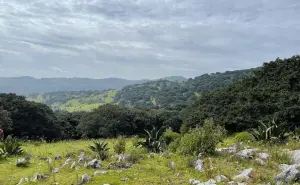 Sierra de Álvarez, una joya natural de San Luis Potosí