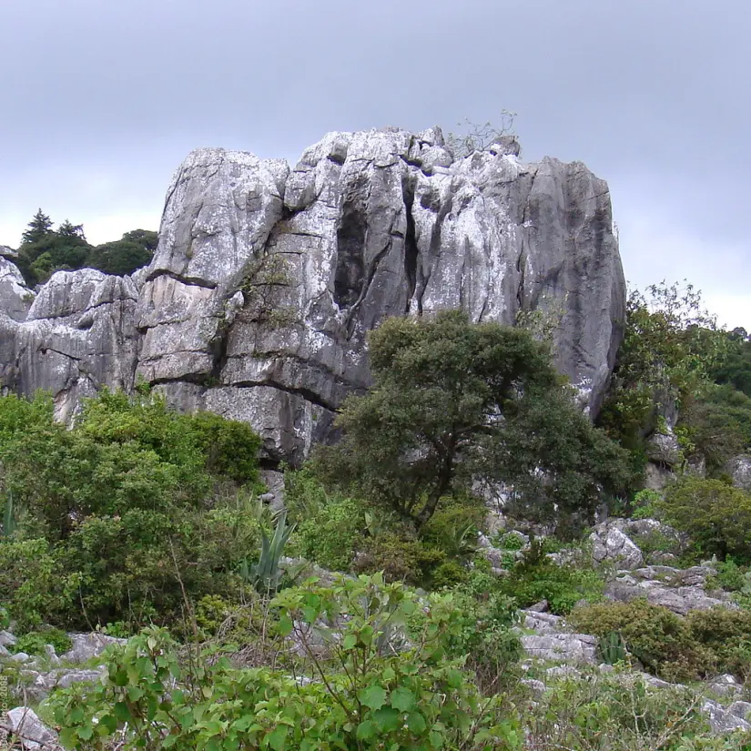 Maravíllate con la naturaleza de Sierra de Álvarez. Foto: Flickr. 