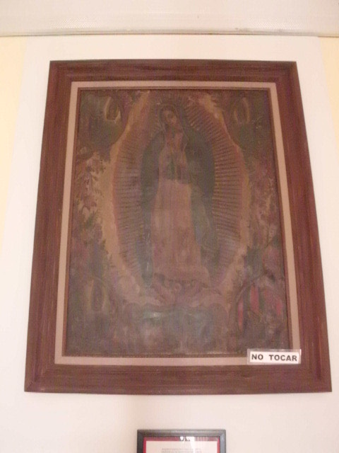Imagen 11