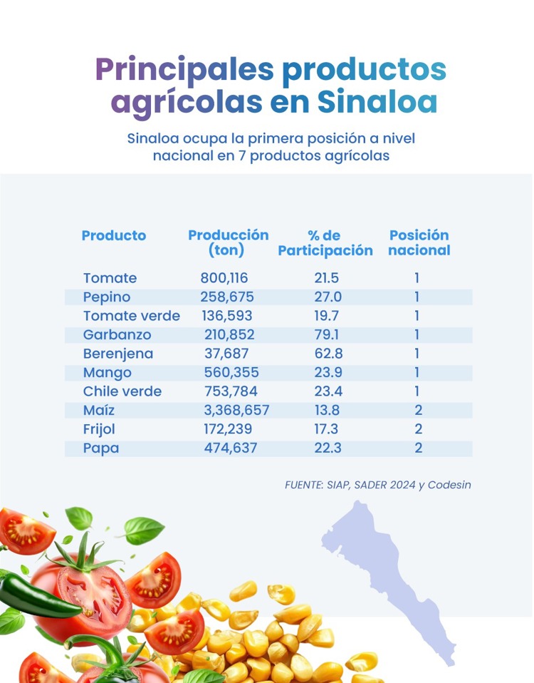 Sinaloa abre una nueva puerta comercial para exportar pimiento morrón a Japón