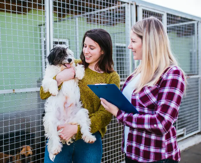 Adopta una mascota y dale un giro a la vida de un perrito o gato rescatados. Foto: Cortesía.