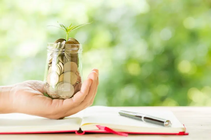 ¿Qué es la inversión temprana?. Imagen Freepik