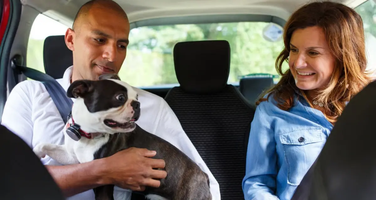 La nueva iniciativa de UberPet busca que usuarios de está app de movilidad adopten mascotas y apoyen refugios. Foto: Cortesía.