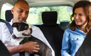 Uber lanza campaña para fomentar la adopción de perritos con viajes gratis en México