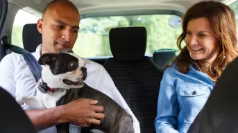 Uber lanza campaña para fomentar la adopción de perritos con viajes gratis en México