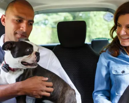 Uber lanza campaña para fomentar la adopción de perritos con viajes gratis en México