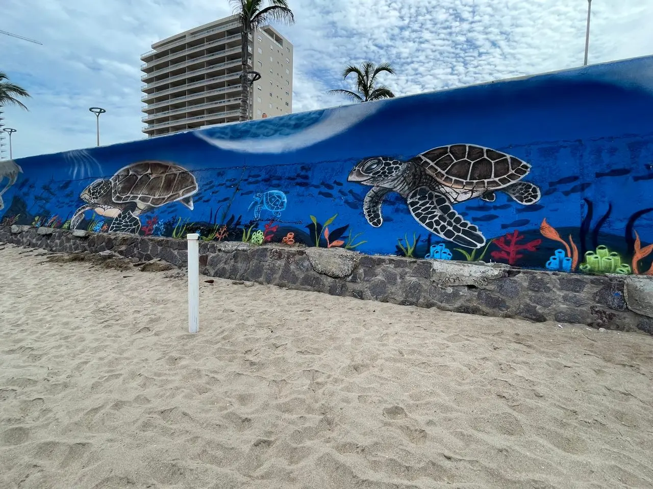 Mural del ciclo reproductivo de la tortuga marina