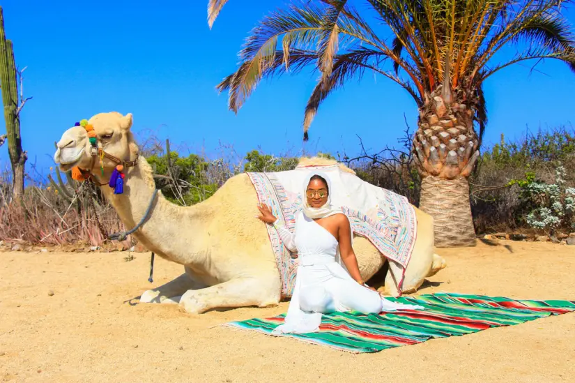 Conoce todos los detalles acerca de los paseo en camello en Los Cabos. Foto: Cabo Adventures.